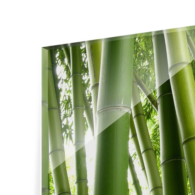 Spatscherm keuken Bamboo Trees