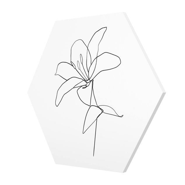 Hexagons Forex schilderijen Line Art Flower Black White