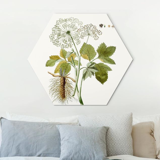 Hexagons Aluminium Dibond schilderijen Wild Herbs Board IV