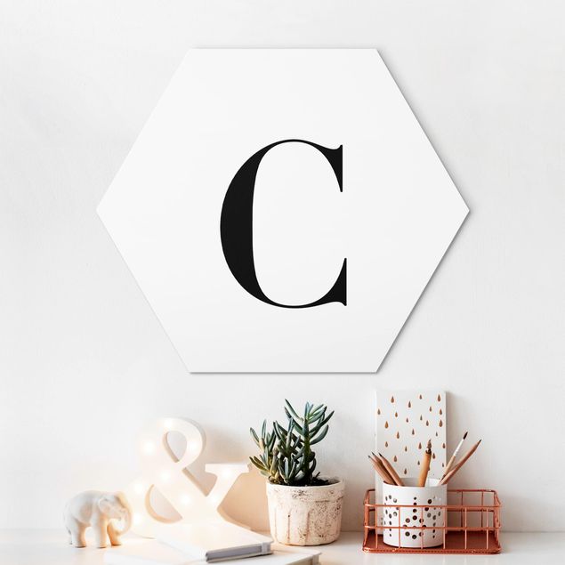 Hexagons Aluminium Dibond schilderijen Letter Serif White C