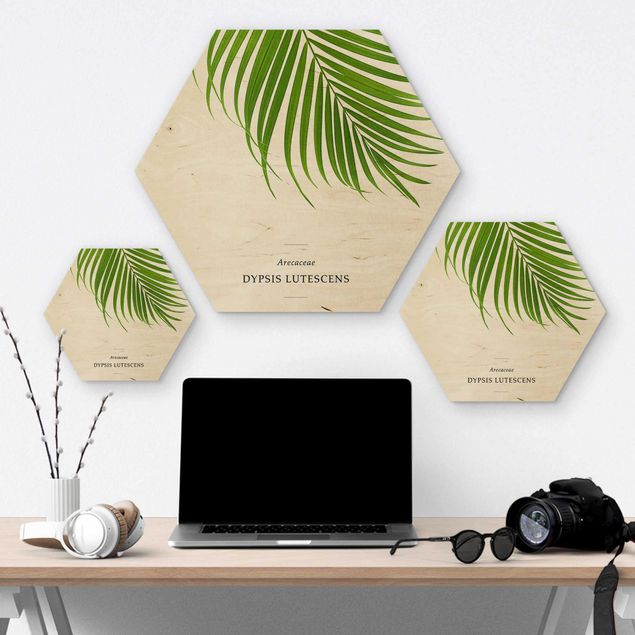 Hexagons houten schilderijen Tropical Leaf Areca Palm