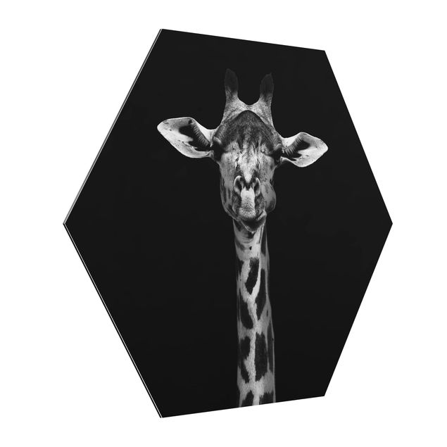 Hexagons Aluminium Dibond schilderijen Dark Giraffe Portrait