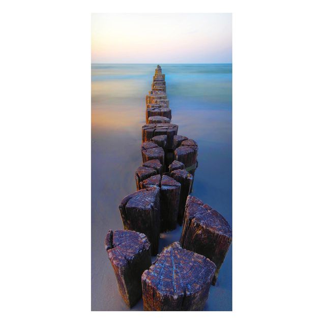 Magneetborden Groynes At Sunset At The Ocean