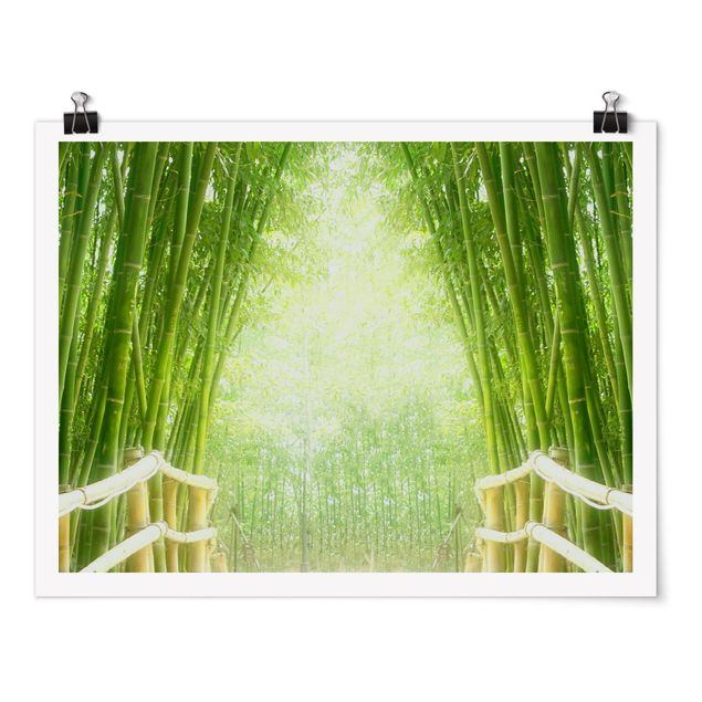 Posters Bamboo Way
