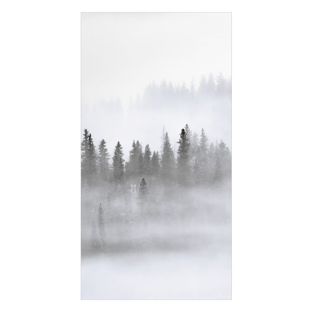 Duschrückwand - Nebel im Tannenwald Schwarz-weiß