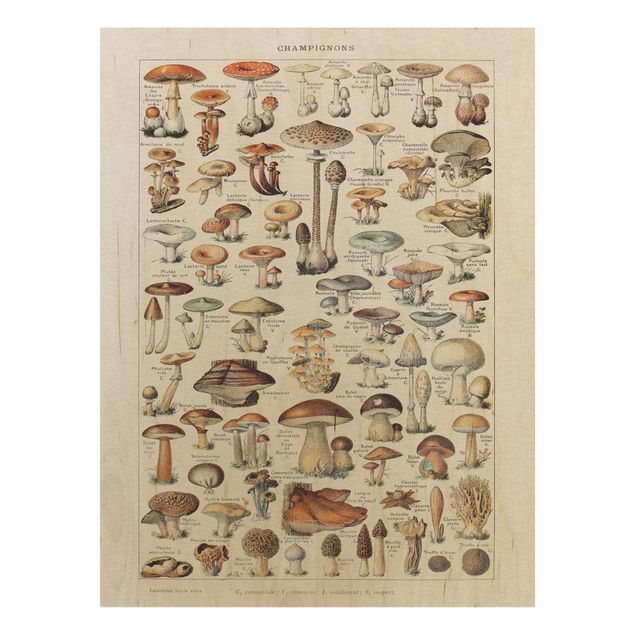 Houten schilderijen Vintage Board Mushrooms