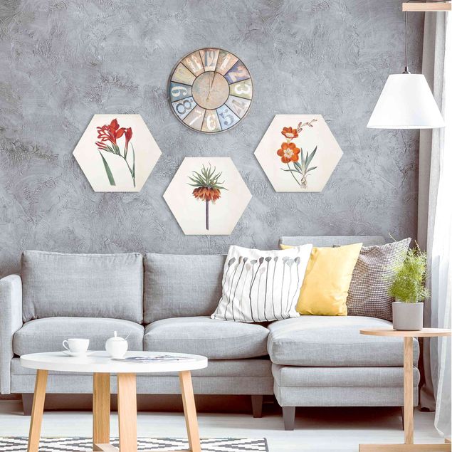 Hexagons Aluminium Dibond schilderijen - 3-delig Garden Beauty Set II