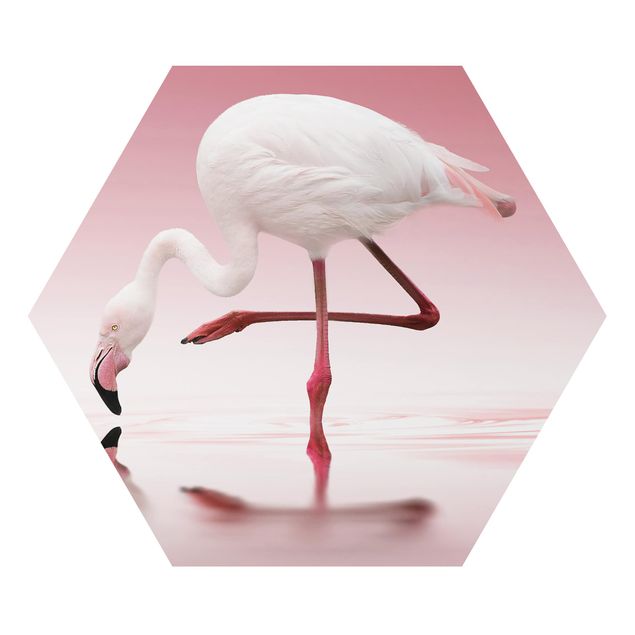 Hexagons Aluminium Dibond schilderijen Flamingo Dance