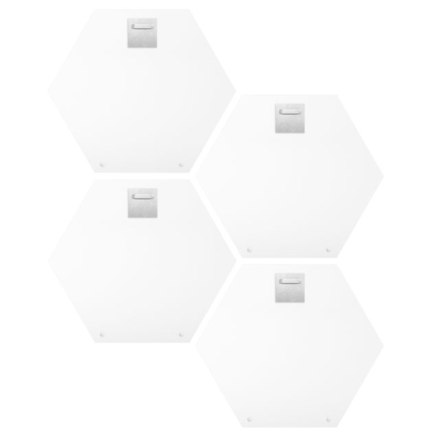 Hexagons Aluminium Dibond schilderijen - 4-delig Floral Jewelry Set I