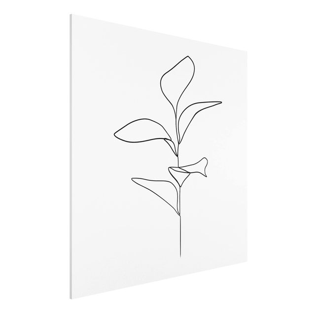Forex schilderijen Line Art Plant Leaves Black And White