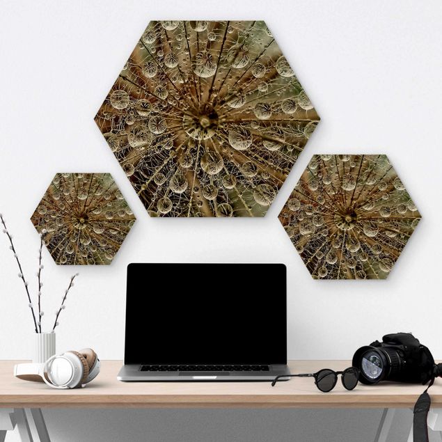 Hexagons houten schilderijen Dandelion In Autumn