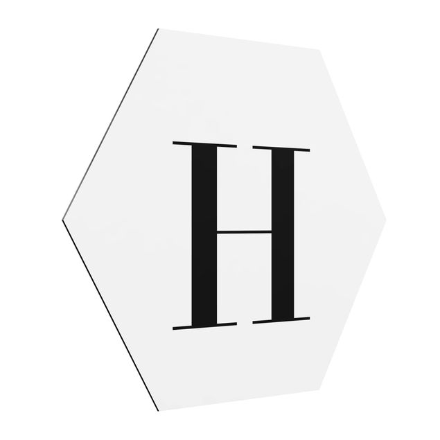 Hexagons Aluminium Dibond schilderijen Letter Serif White H