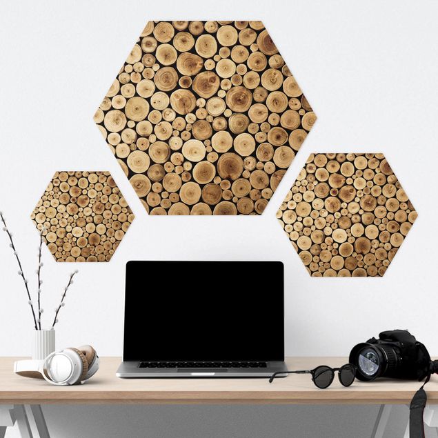 Hexagons Aluminium Dibond schilderijen Homey Firewood