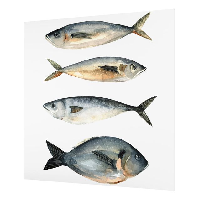 Spatscherm keuken Four Fish In Watercolor I