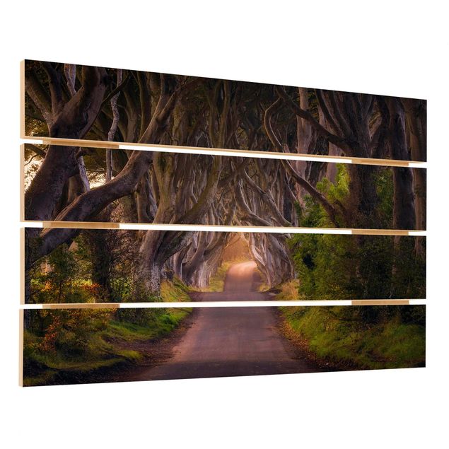 Houten schilderijen op plank Tunnel Of Trees