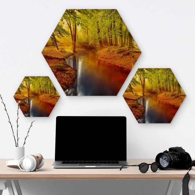 Hexagons houten schilderijen Autumn Forest