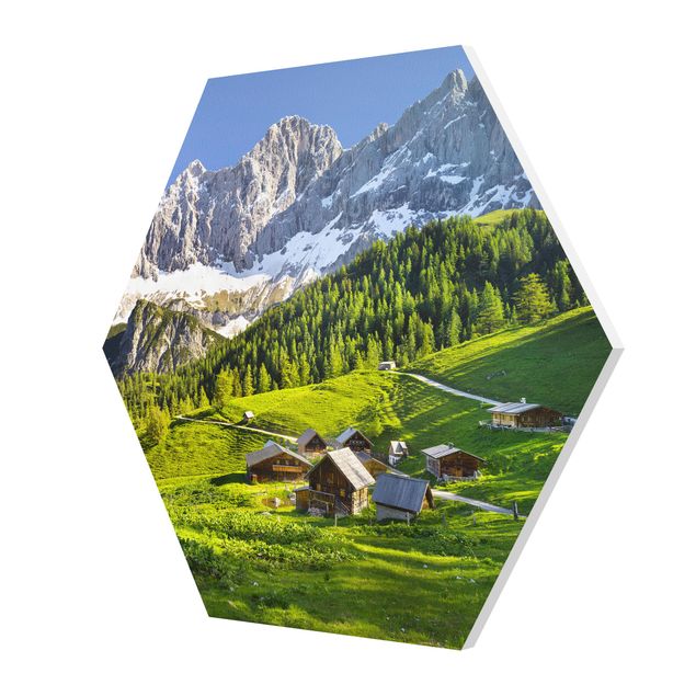 Hexagons Forex schilderijen Styria Alpine Meadow