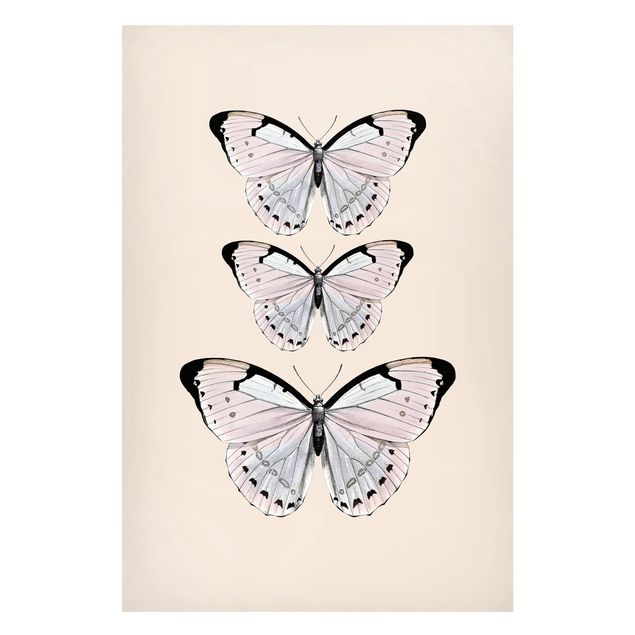 Magneetborden Butterfly On Beige