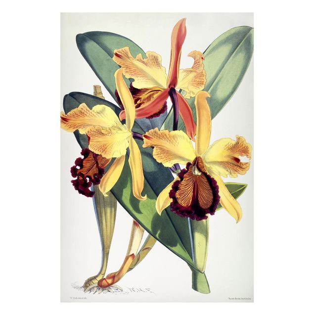 Magneetborden Walter Hood Fitch - Orchid