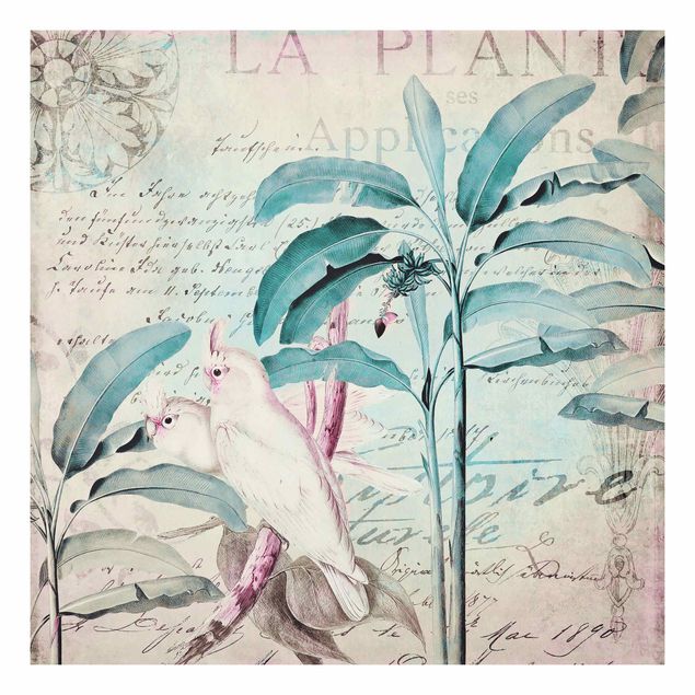 Forex schilderijen Colonial Style Collage - Cockatoos And Palm Trees