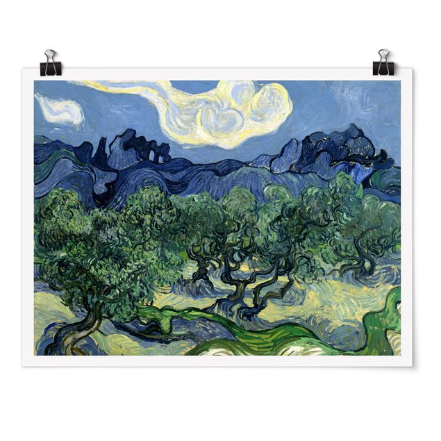 Posters Vincent Van Gogh - Olive Trees