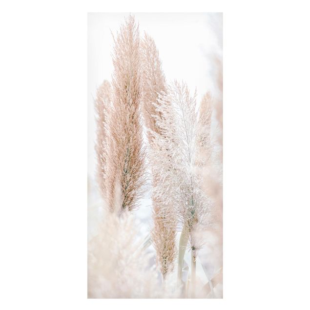 Magneetborden Pampas Grass In White Light