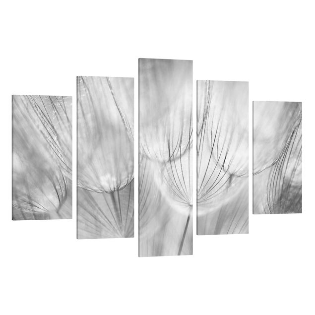 Canvas schilderijen - 5-delig Dandelion Macro Shot In Black And White