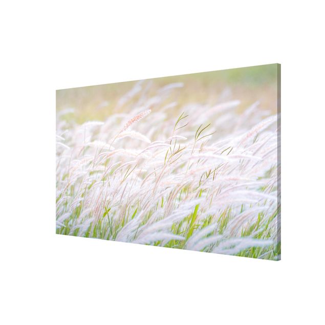 Magneetborden Soft Grasses