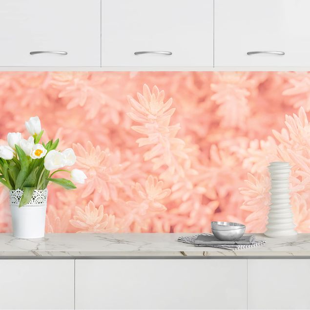 Achterwand voor keuken bloemen Rosemary Light Pink