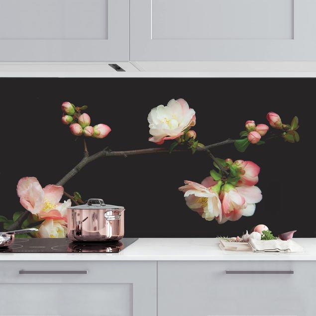 Achterwand voor keuken bloemen Blossoming Branch Apple Tree