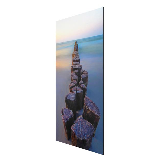 Aluminium Dibond schilderijen Groynes At Sunset At The Ocean
