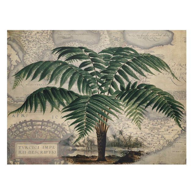 Magneetborden Vintage Collage - Palm And World Map