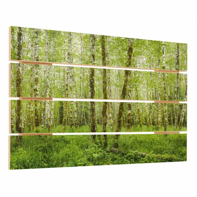 Houten schilderijen op plank Hoh Rainforest Olympic National Park