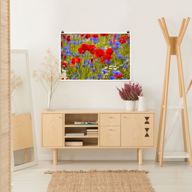 Posters Summer Meadow With Poppies And Cornflowers