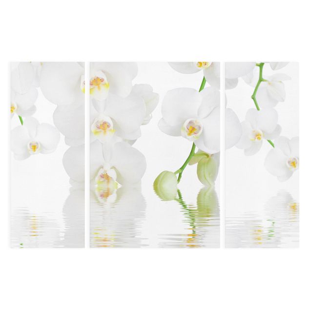 Canvas schilderijen - 3-delig Spa Orchid - White Orchid