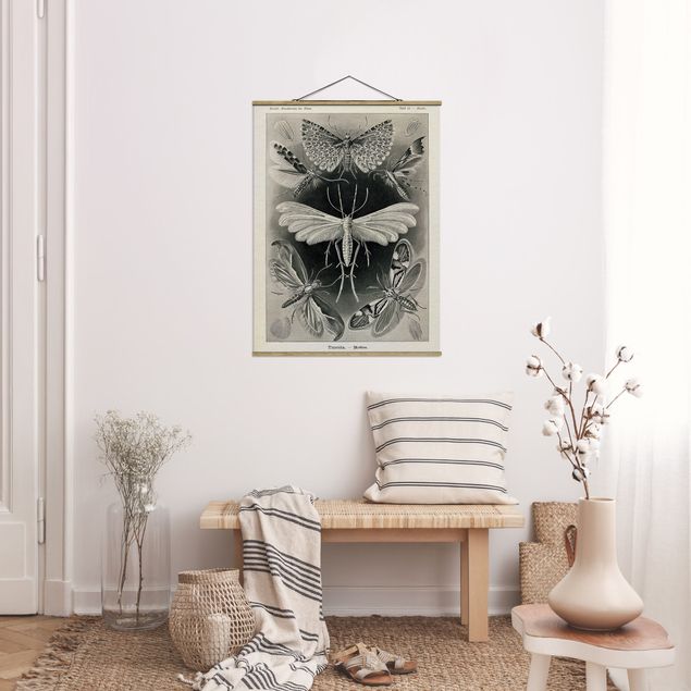 Stoffen schilderij met posterlijst Vintage Board Moths And Butterflies