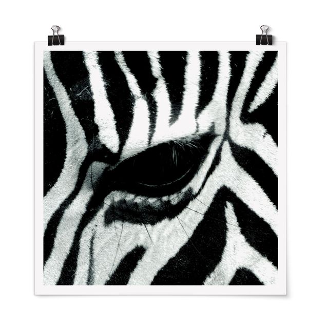 Posters Zebra Crossing