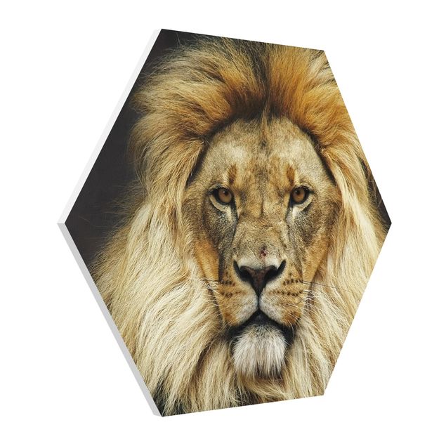 Hexagons Forex schilderijen Wisdom Of Lion