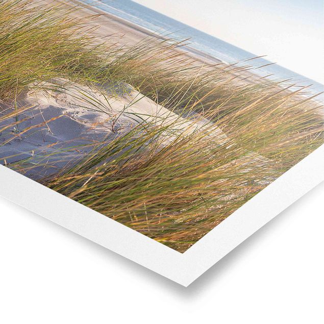 Posters Beach Dune At The Sea