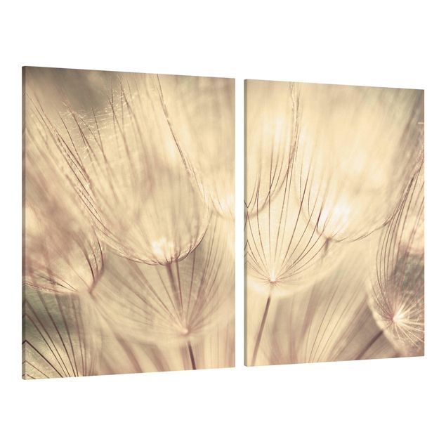 Canvas schilderijen - 2-delig  Dandelions Close-Up In Cozy Sepia Tones