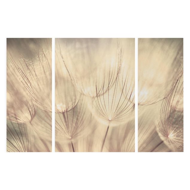 Canvas schilderijen - 3-delig Dandelions Close-Up In Cozy Sepia Tones