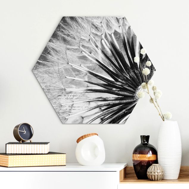 Hexagons Aluminium Dibond schilderijen Dandelion Black & White