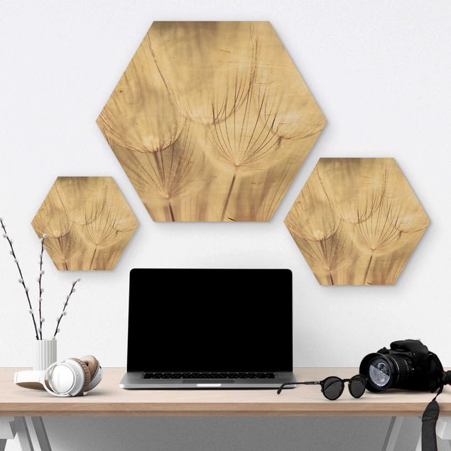 Hexagons houten schilderijen Dandelions Close-Up In Cozy Sepia Tones