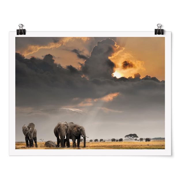 Posters Elephants in the Savannah