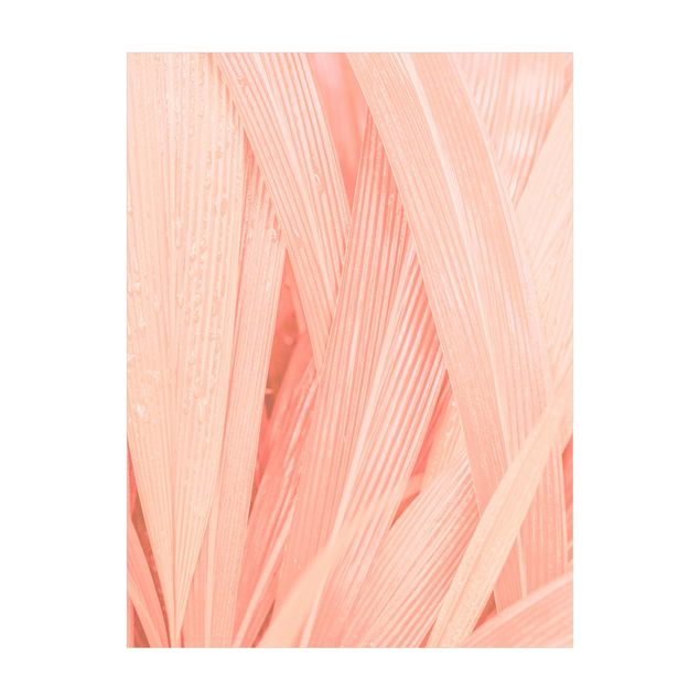 natuurlijk vloerkleed Palm Leaves Light Pink