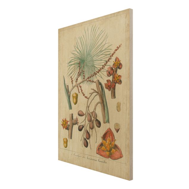 Houten schilderijen Vintage Board Exotic Palms III