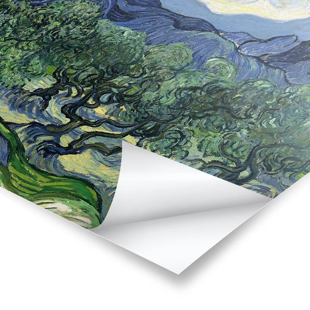 Posters Vincent Van Gogh - Olive Trees
