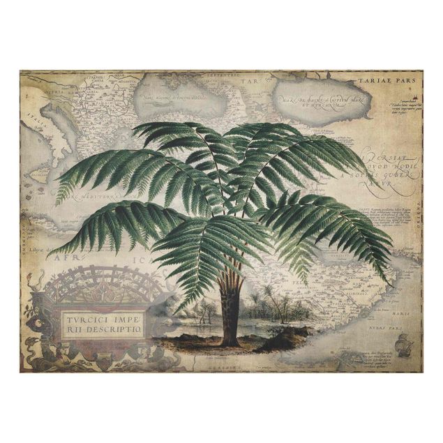 Spatscherm keuken Vintage Collage - Palm And World Map