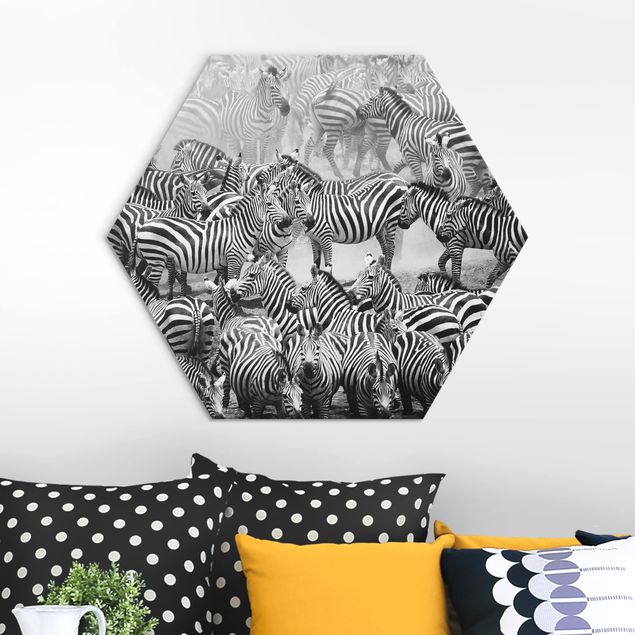 Hexagons Aluminium Dibond schilderijen Zebra herd II