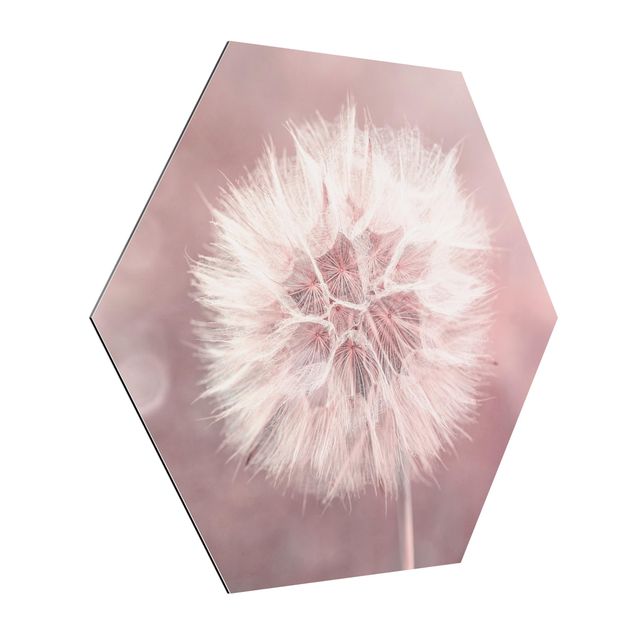 Hexagons Aluminium Dibond schilderijen Dandelion Bokeh Light Pink